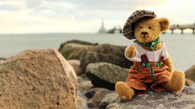 dressed teddy bear puffyland